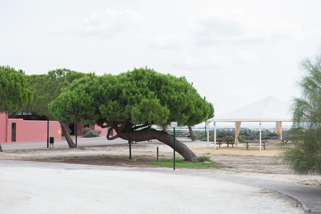 Alojamiento Rural Coto De La Isleta El Puerto de Santa Maria Exterior photo